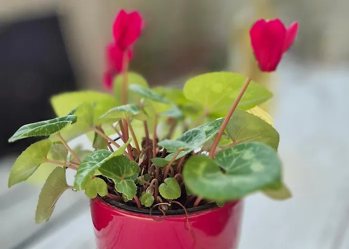 Tena With Private Parking Apartamento