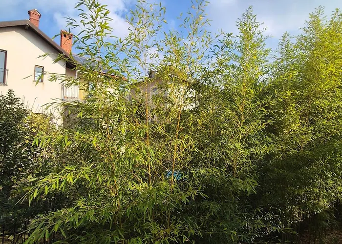 Tena With Private Parking プーラ